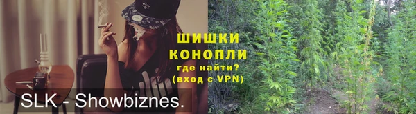 прущие грибы Алзамай