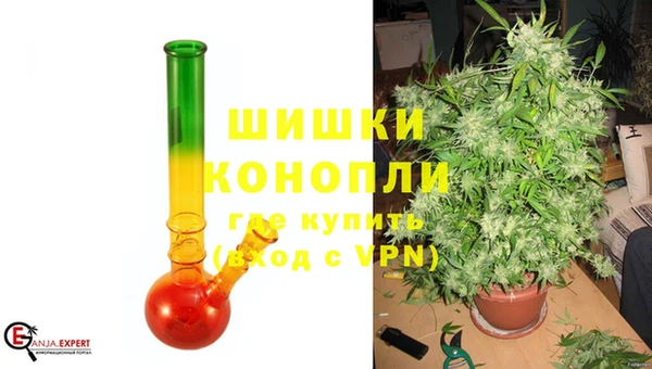 МДПВ Нея