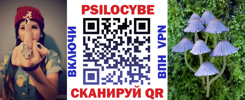 закладки Заволжье Псилоцибиновые грибы GOLDEN TEACHER