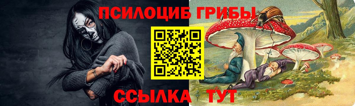 Псилоцибиновые грибы Psilocybe Заволжье