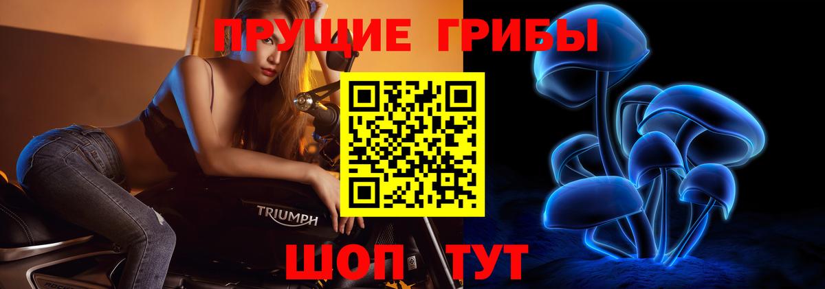 как найти закладки  Галлюциногенные грибы прущие грибы  Вход с VPN  Заволжье  Псилоцибиновые грибы мухоморы 